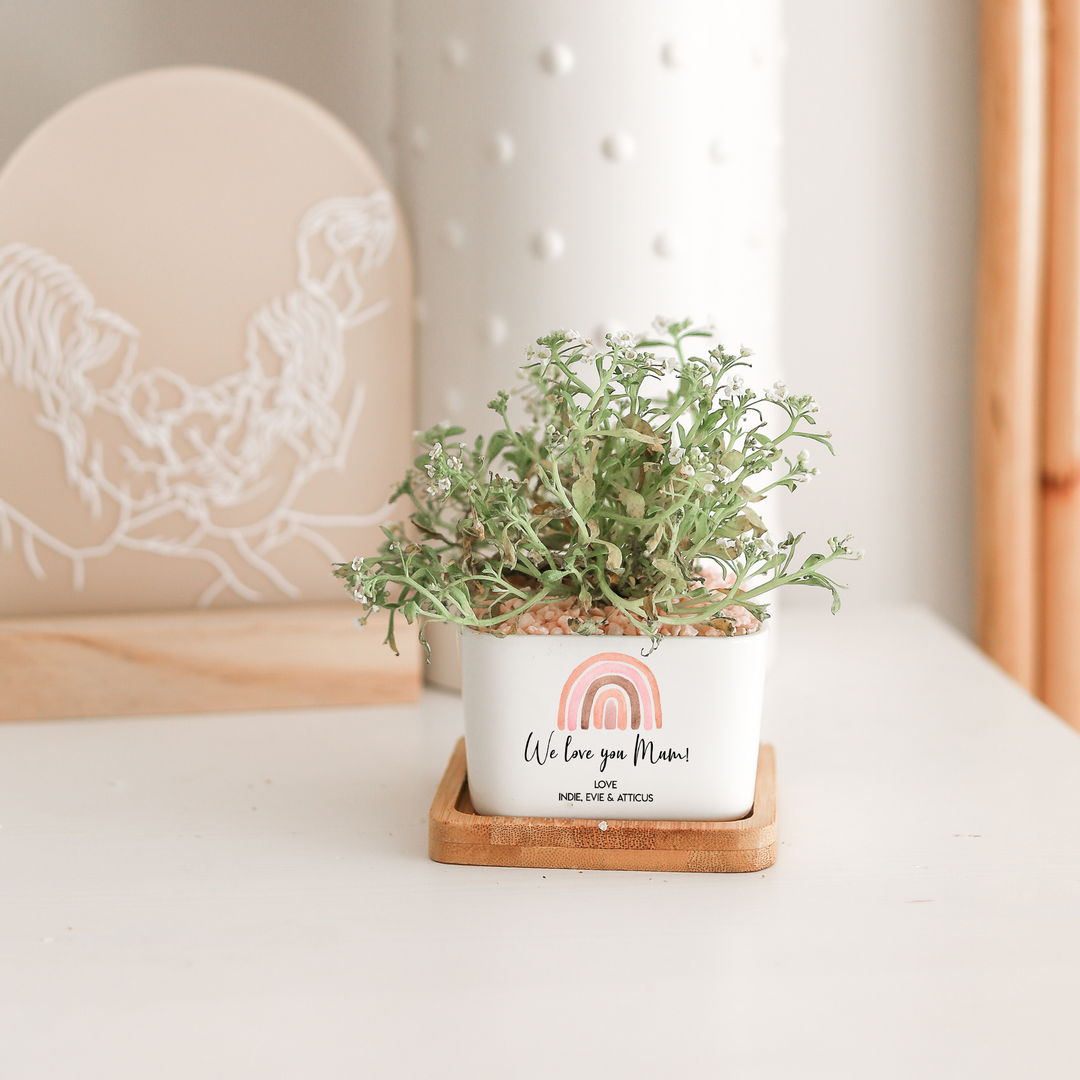 Planters