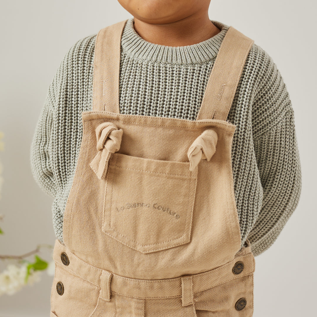 Toddler oatmeal overalls