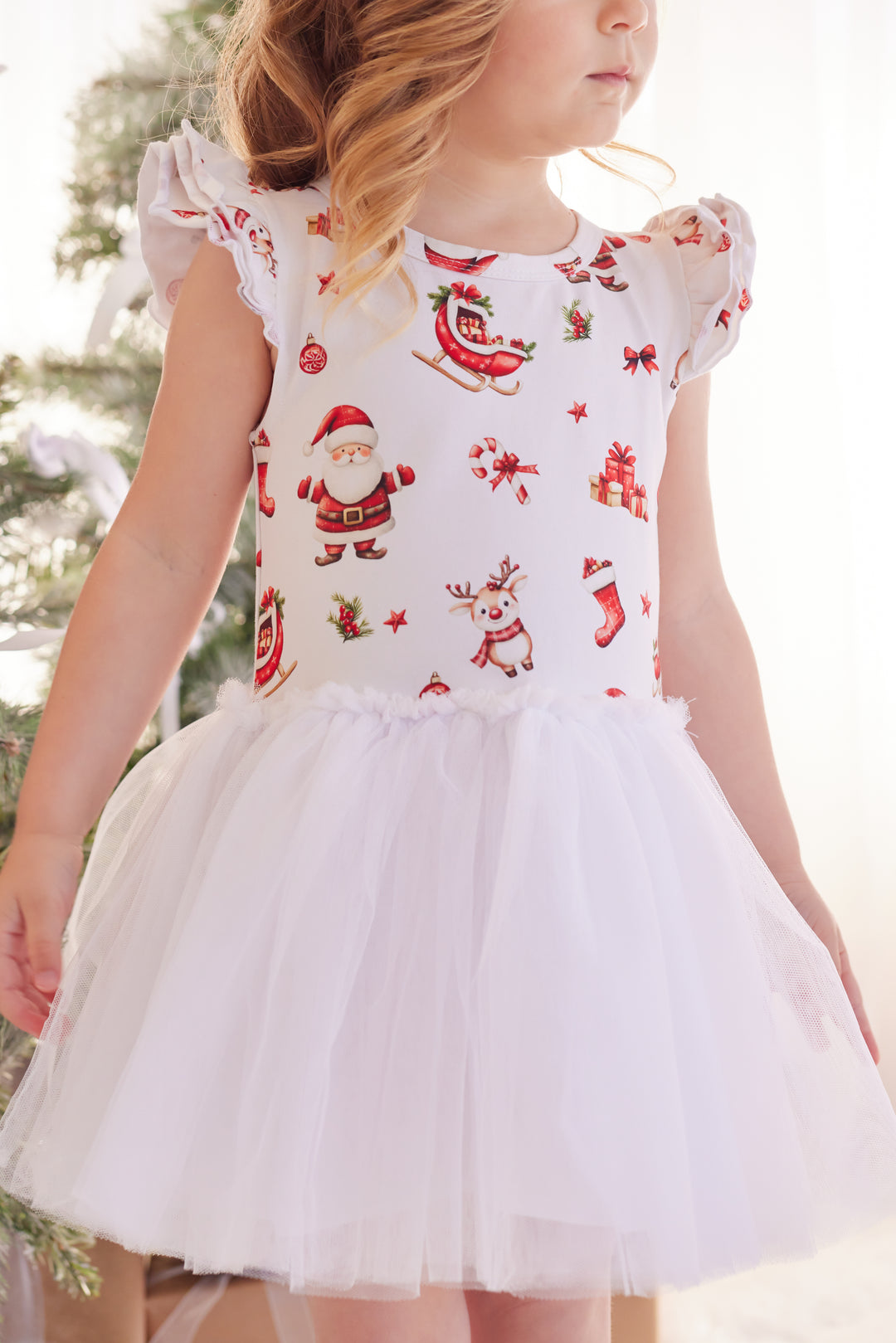 Tutu Dress - Here Comes Santa Claus