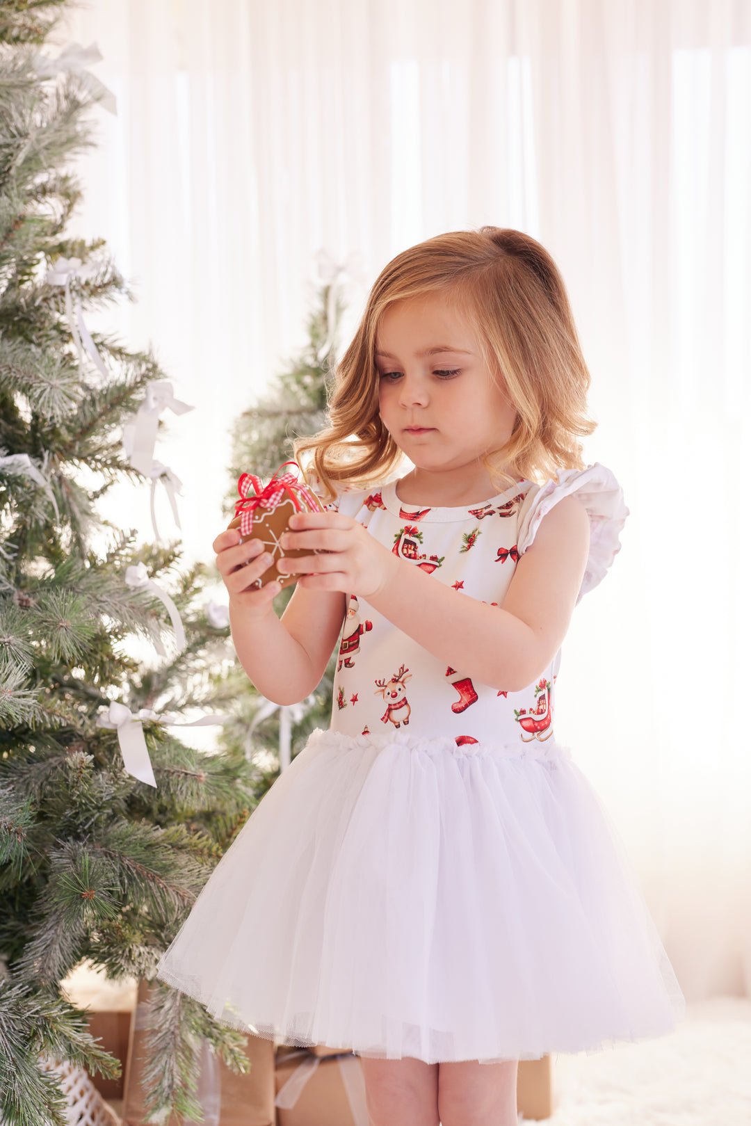 Tutu Dress - Here Comes Santa Claus