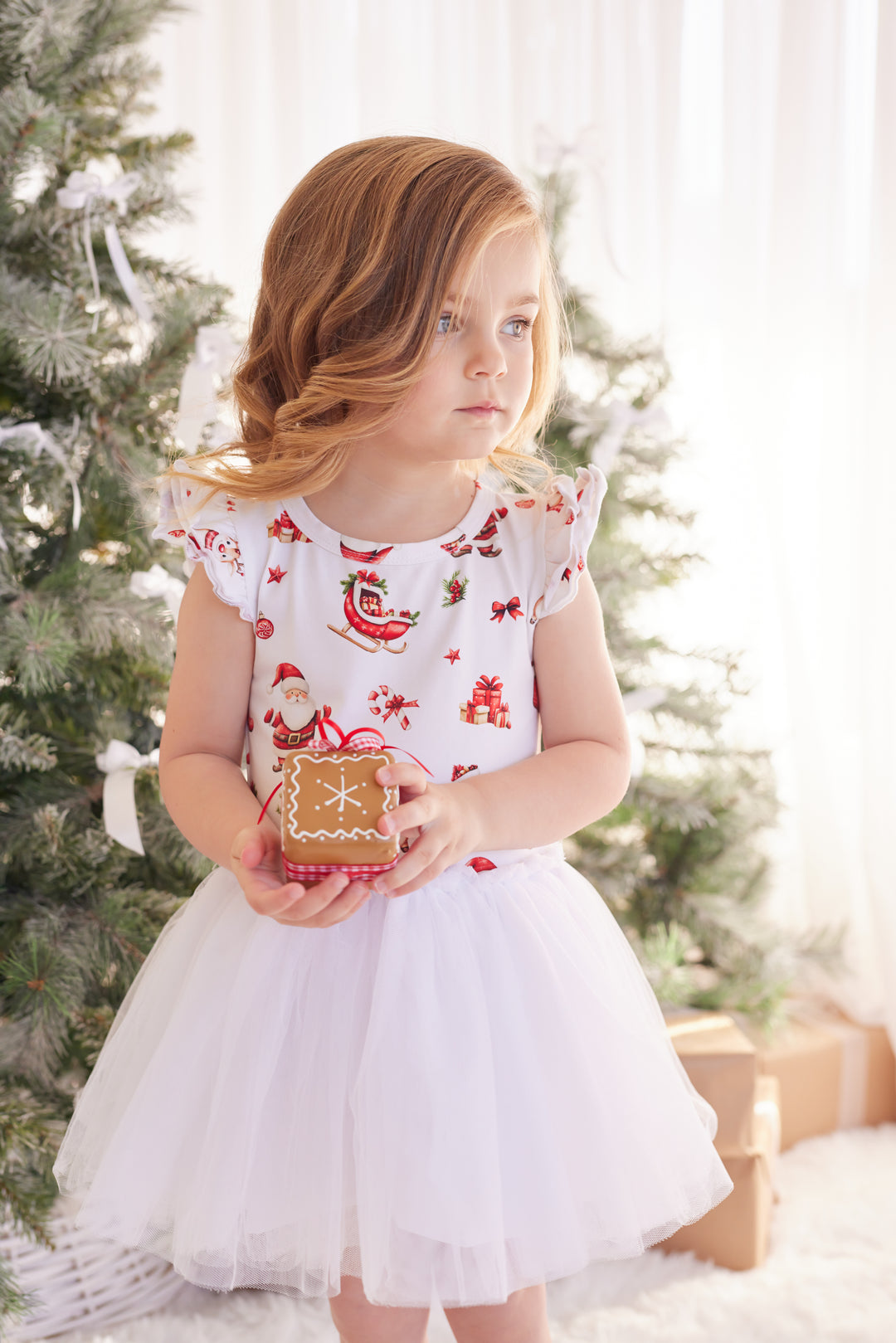 Tutu Dress - Here Comes Santa Claus