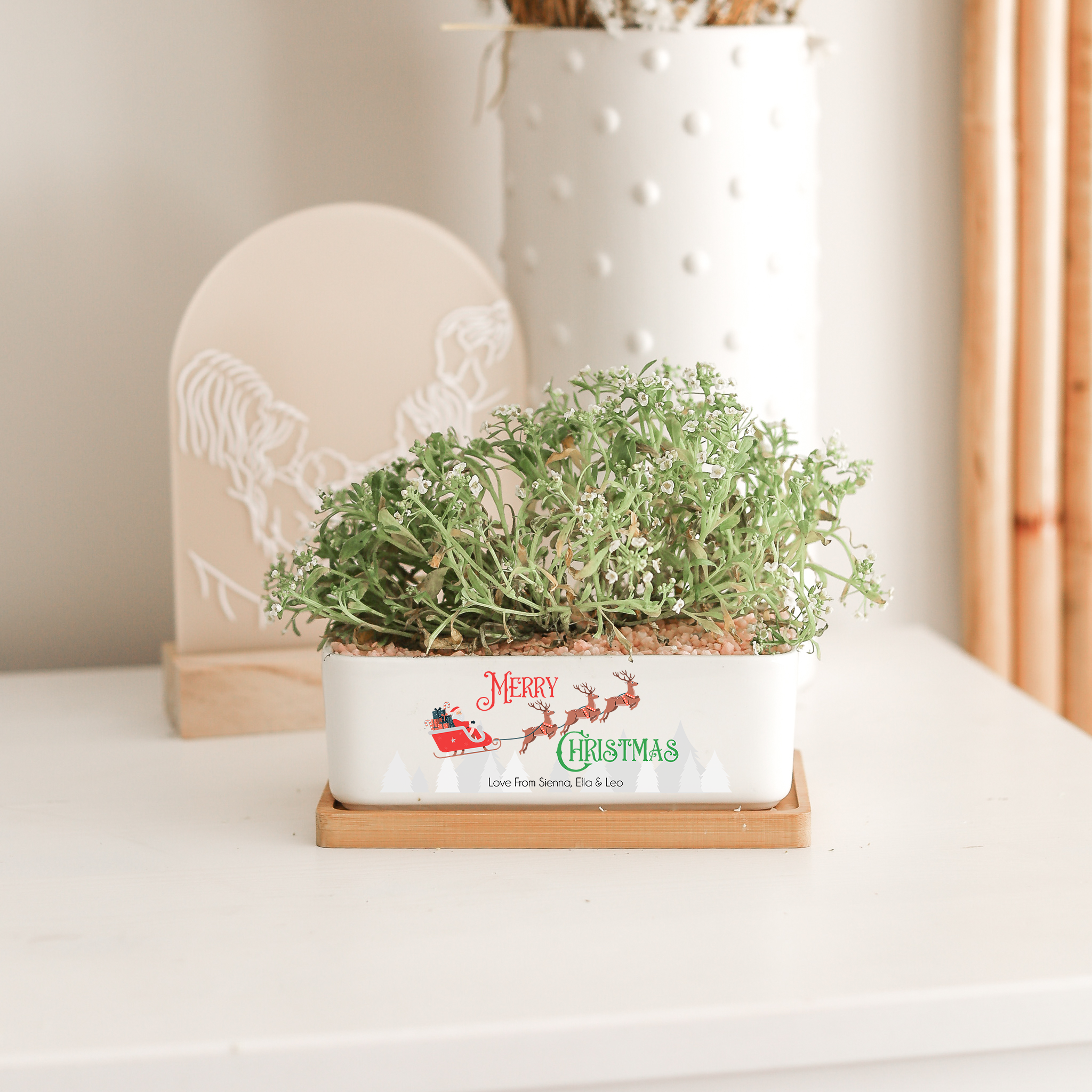 Merry Christmas Planter Pot - Rectangle