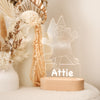 Acrylic Night Light - Custom Character