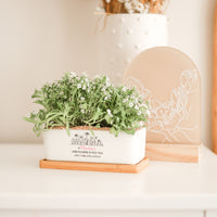 Mother's Day Planter Pot - Rectangle - If... were flowers I'd pick you