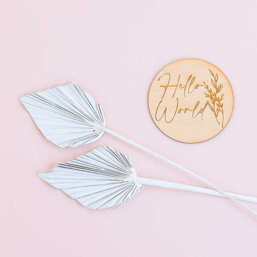 Disc - Hello World – La Sienna Couture