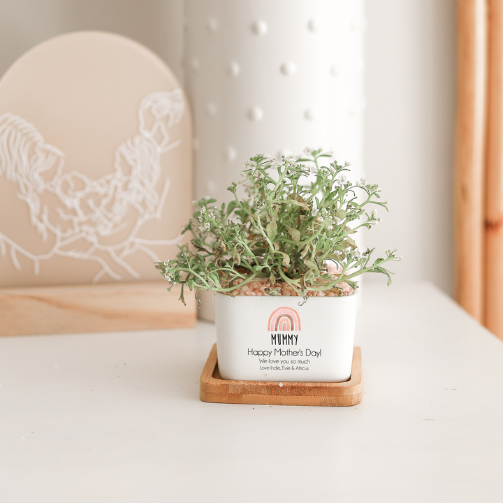 Mother's Day Planter Pot - Square - Rainbow - Choose a message